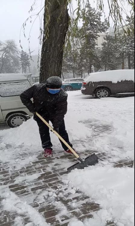 工作动态前进区人大常委会机关积极参加清雪行动